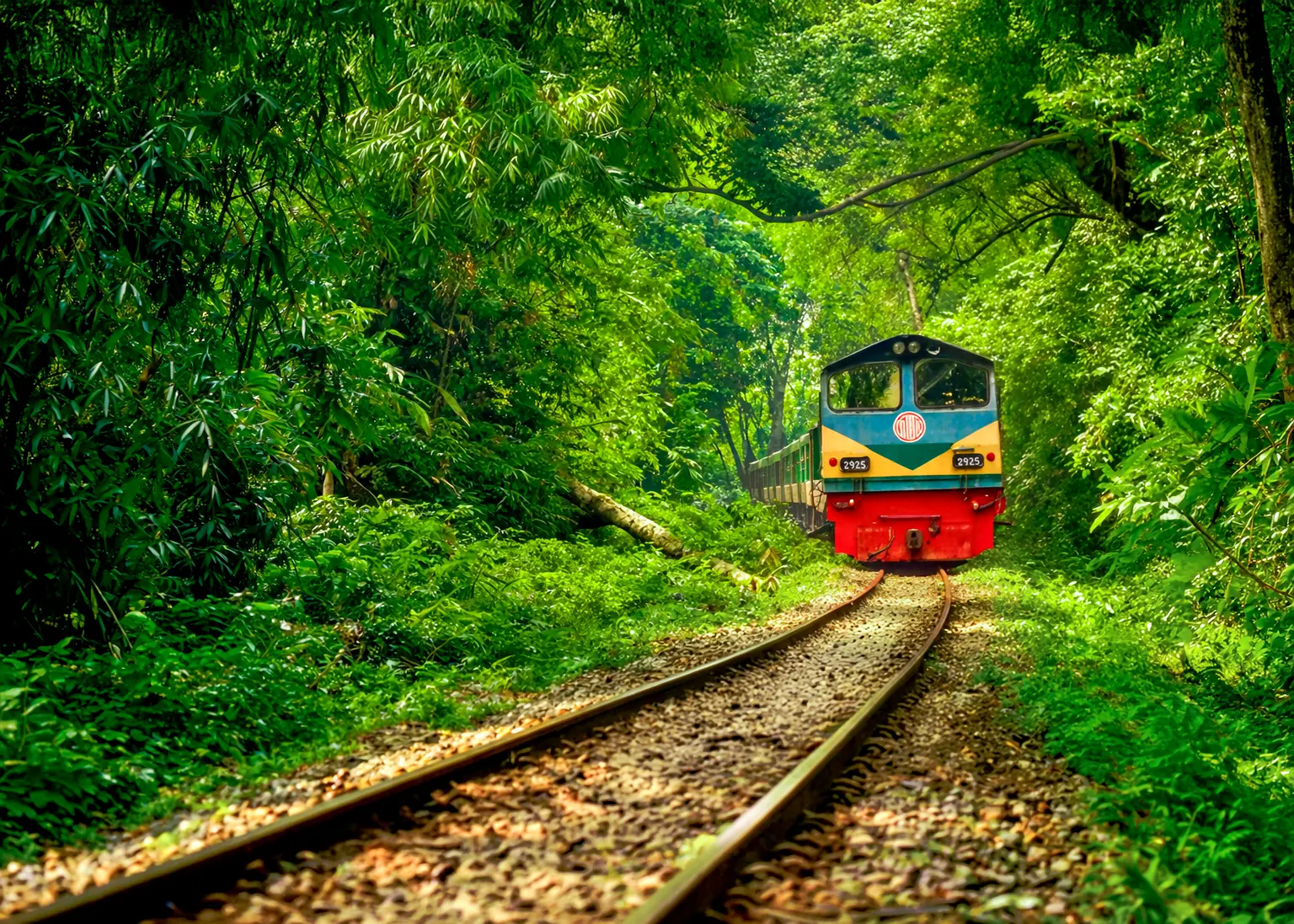Explore Sundarban – The Heart of Bangladesh’s Wild Beauty